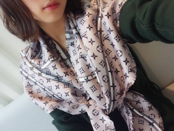 Louis Vuitton Scarf LVC00536 Louis Vuitton Scarf LVC00536